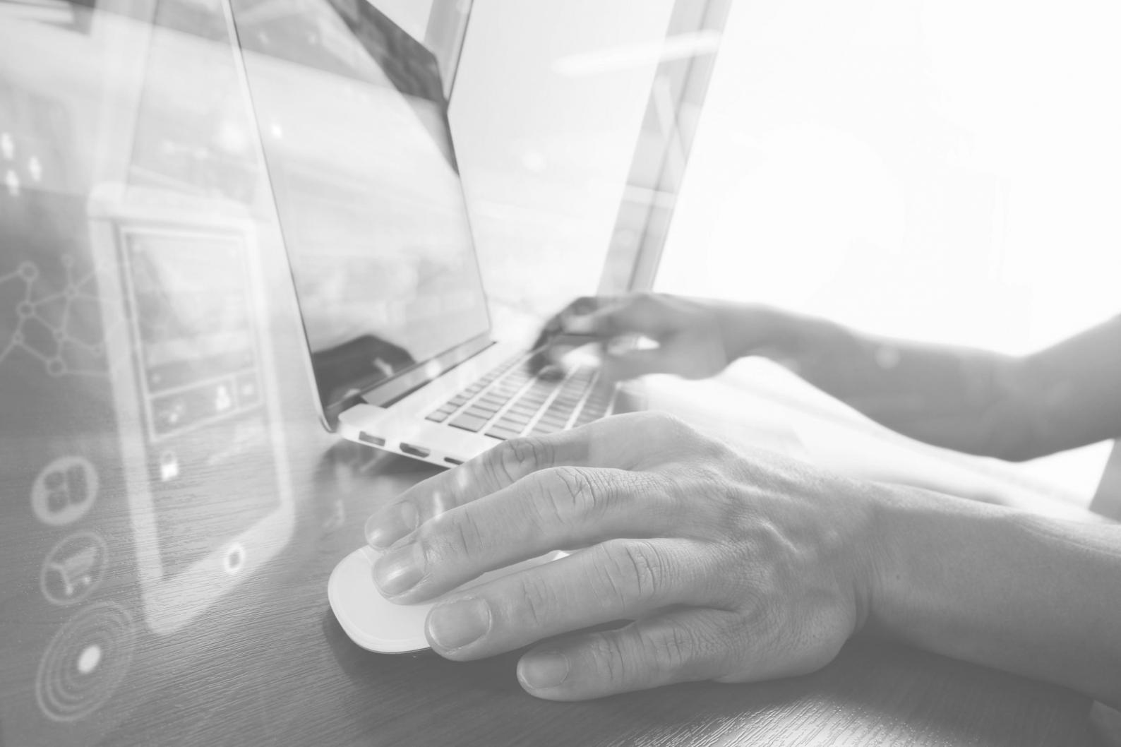 Development team reviewing custom data analysis program interface with client feedback